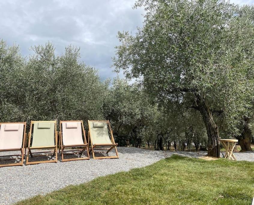 Il Fienile Di Alberto E Costanza Lucca Eksteriør bilde